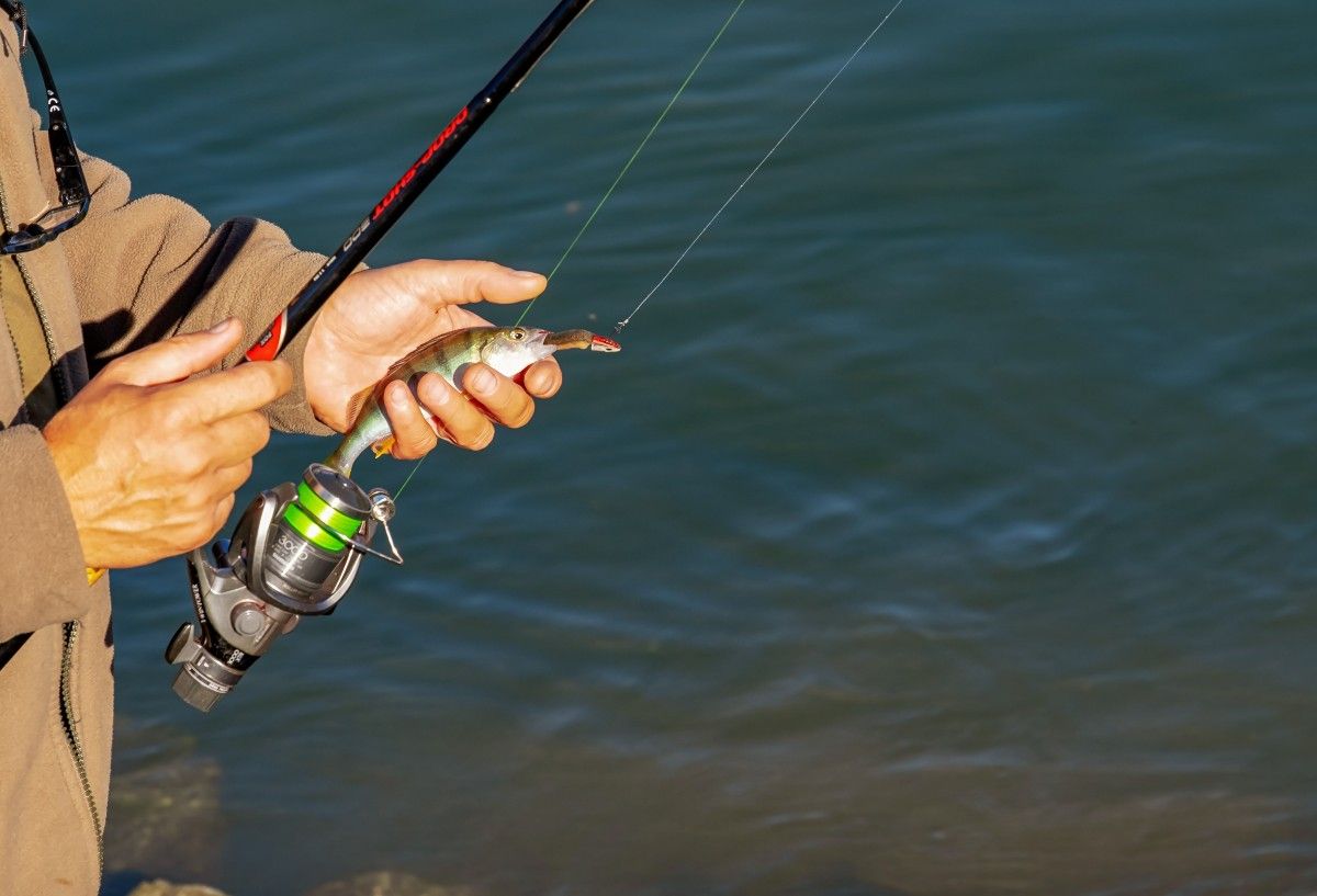 Angler holding a fresh catch at the water